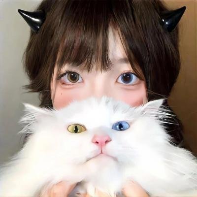 维京人埃里克